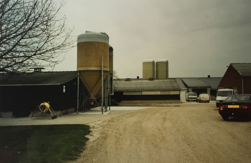 Het erf in 1997 met voersilo's en lage kippenstallen