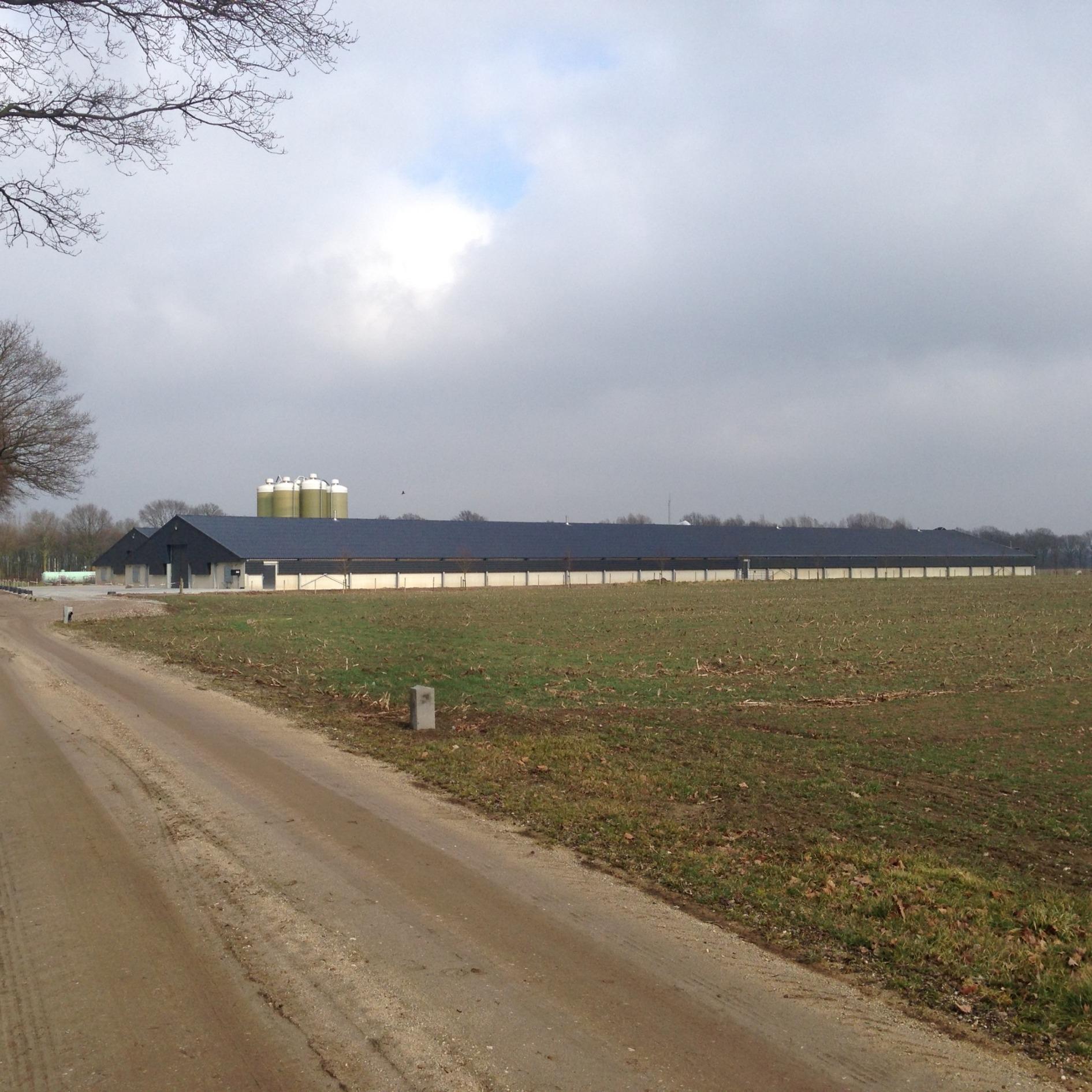 Lange kippenstallen met silo's in de verte, akker op de voorgrond