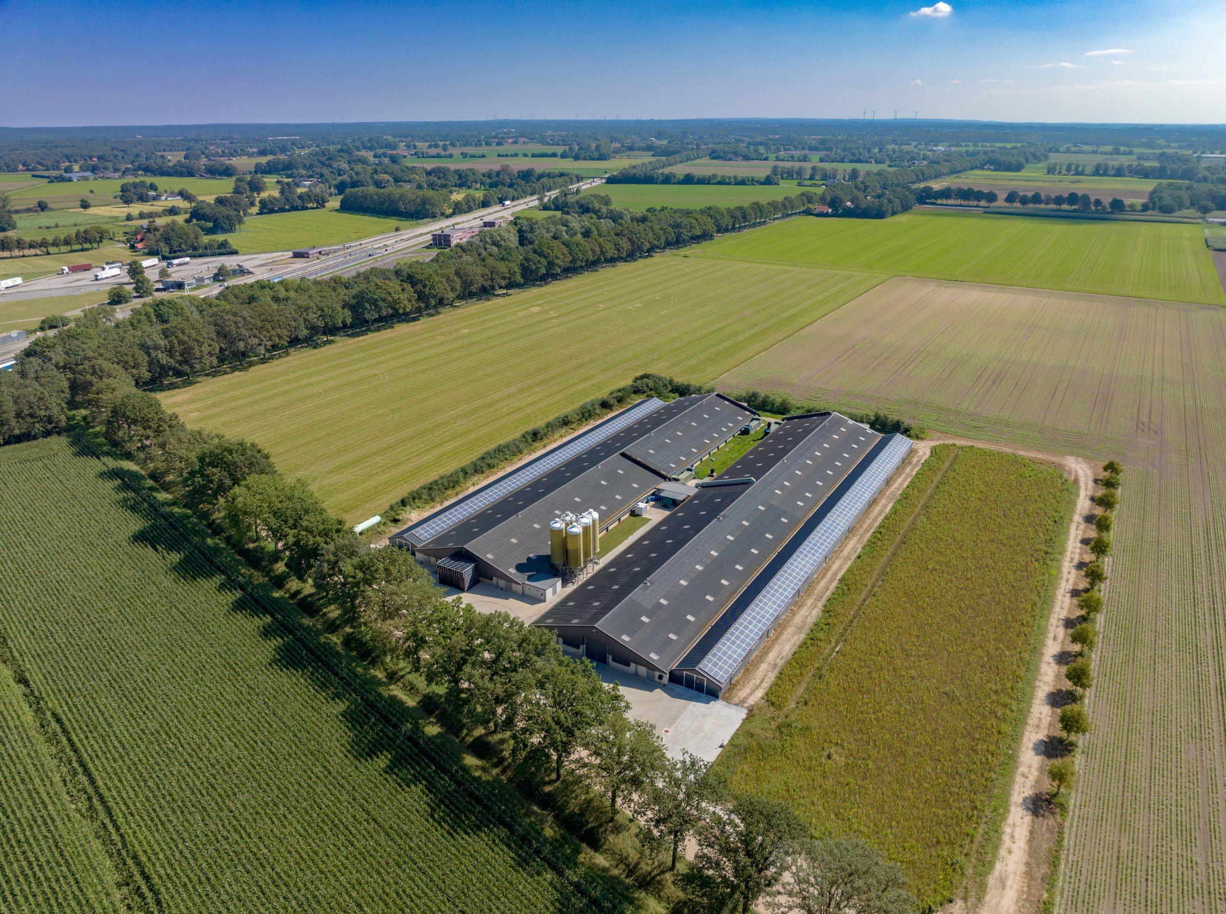 De stallen met buitenuitloop en zonnepanelen vanuit de lucht, tussen de akkers