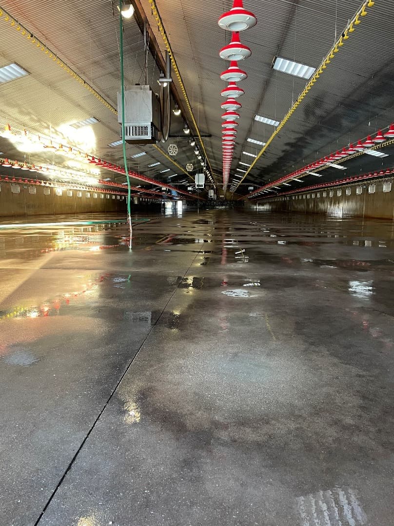 Lege, schoongespoten stal met de voer- en drinklijnen omhoog