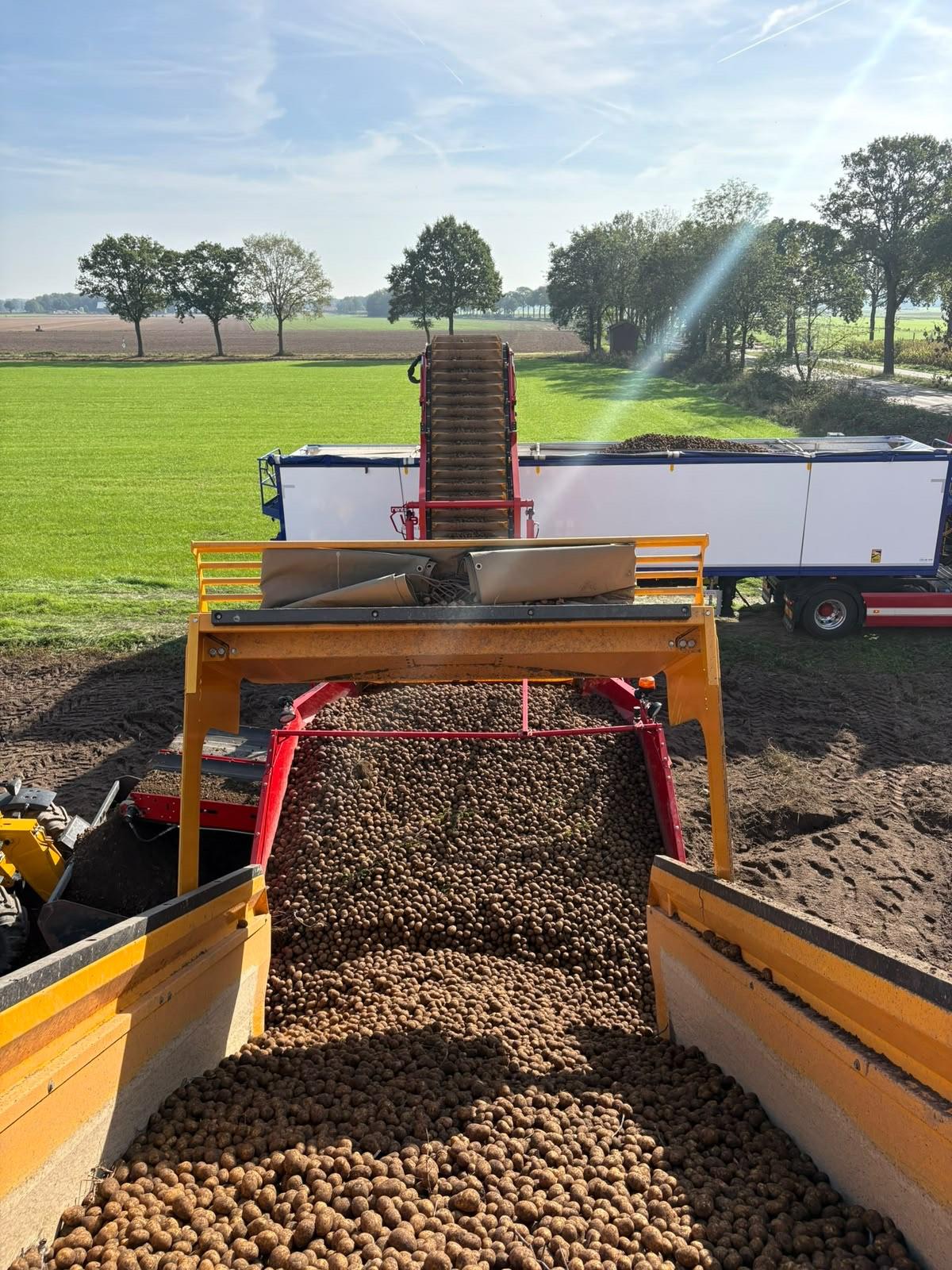 Aardappelen gaan over de band omhoog de vrachtwagen in, met weiland en bomen erachter
