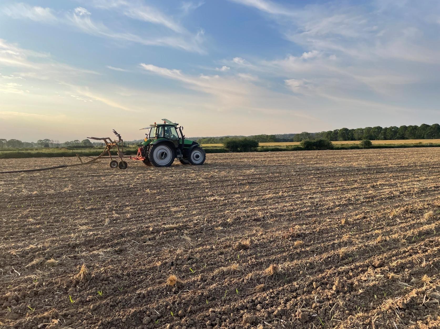 Deutz-trekker met grondbewerker op het stoppelveld in avondlicht