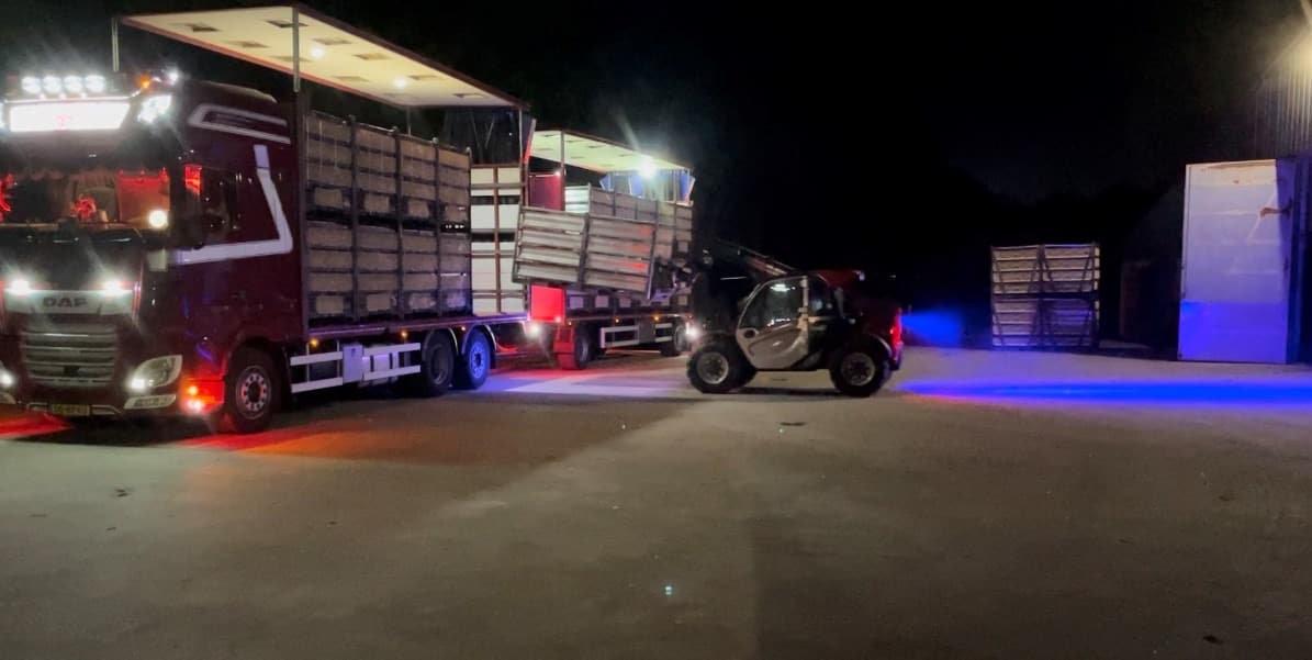 's Nachts: vrachtwagen met kippencontainers en een verreiker op het erf